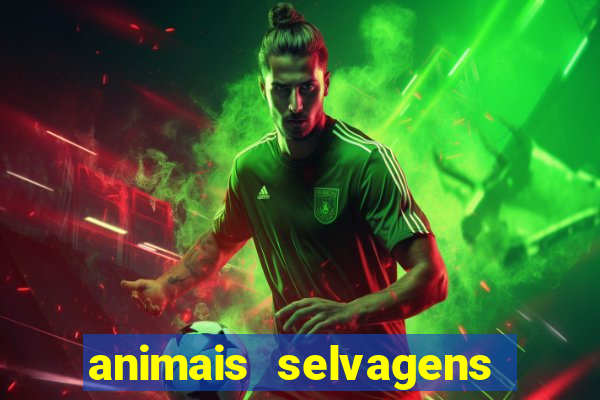 animais selvagens fotos e nomes